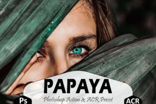 Download Papaya Photoshop Actions and ACR Presets - Photos Collection